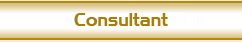 O Consultor